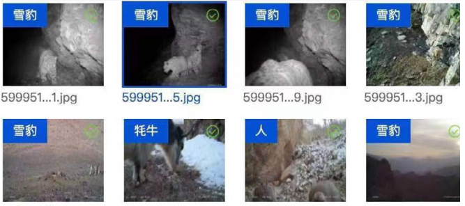 AI For Social Good | Protecting the biodiversity of the Earth