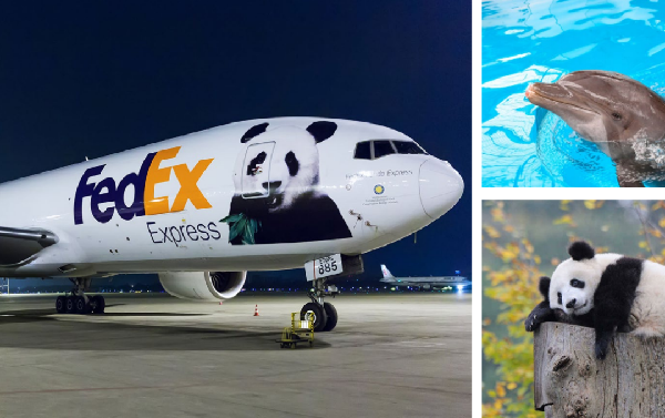 AI For Social Good | Protecting the biodiversity of the Earth