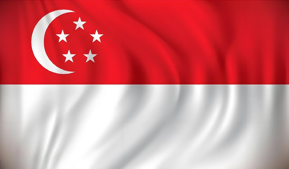 郑州 - 新加坡（9天）EMS单号：EV031***335CN