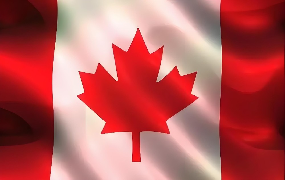 郑州 - 加拿大（7天）Canada post 单号：73213******47140